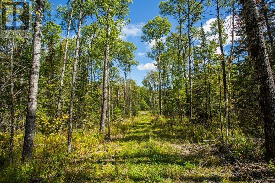 Gordon Lake Road And Carter Side Road Part 1, Johnson, ON