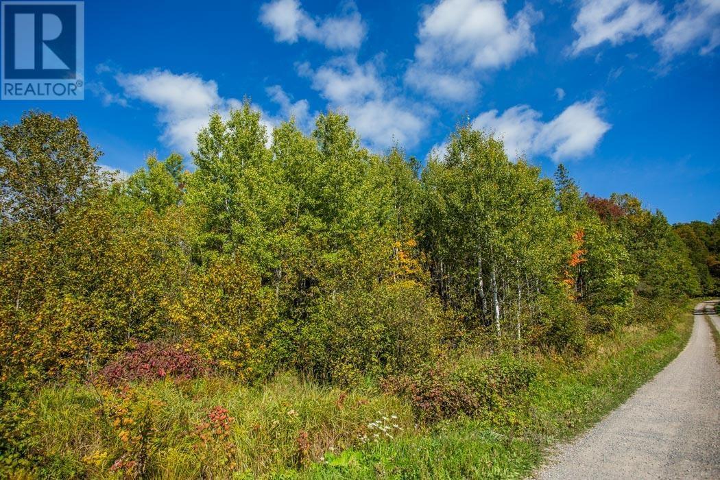 Gordon Lake Road And Carter Side Road Part 1, Johnson, ON