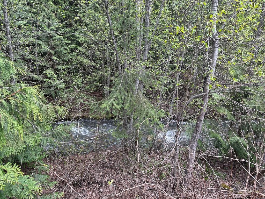 1440 Trinity Valley Road, Lumby, BC - Outdoor