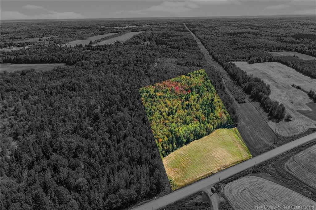 Tbd Route 115, Mckees Mills, NB