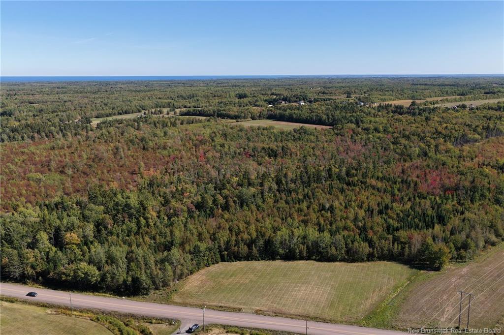 Tbd Route 115, Mckees Mills, NB