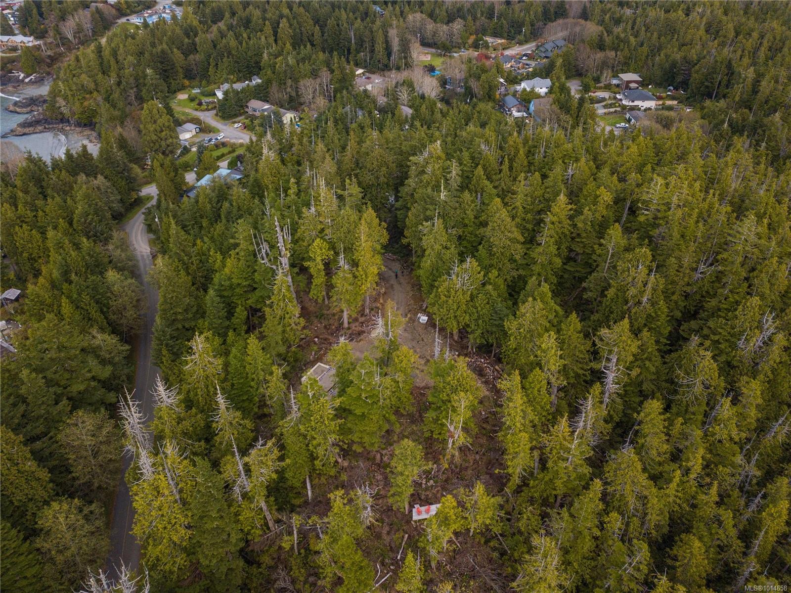 340 Tonquin Park Rd, Tofino, BC