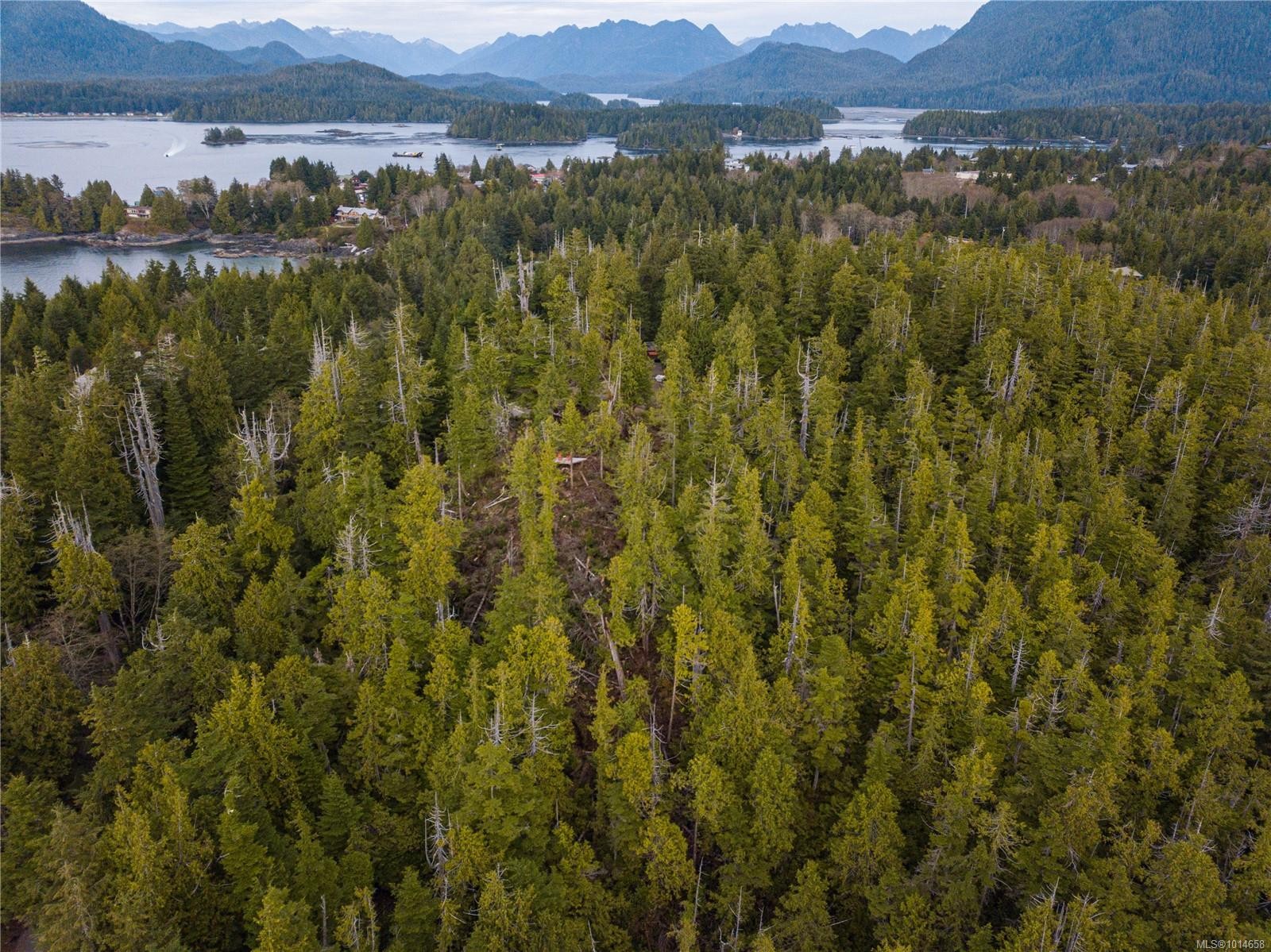 340 Tonquin Park Rd, Tofino, BC