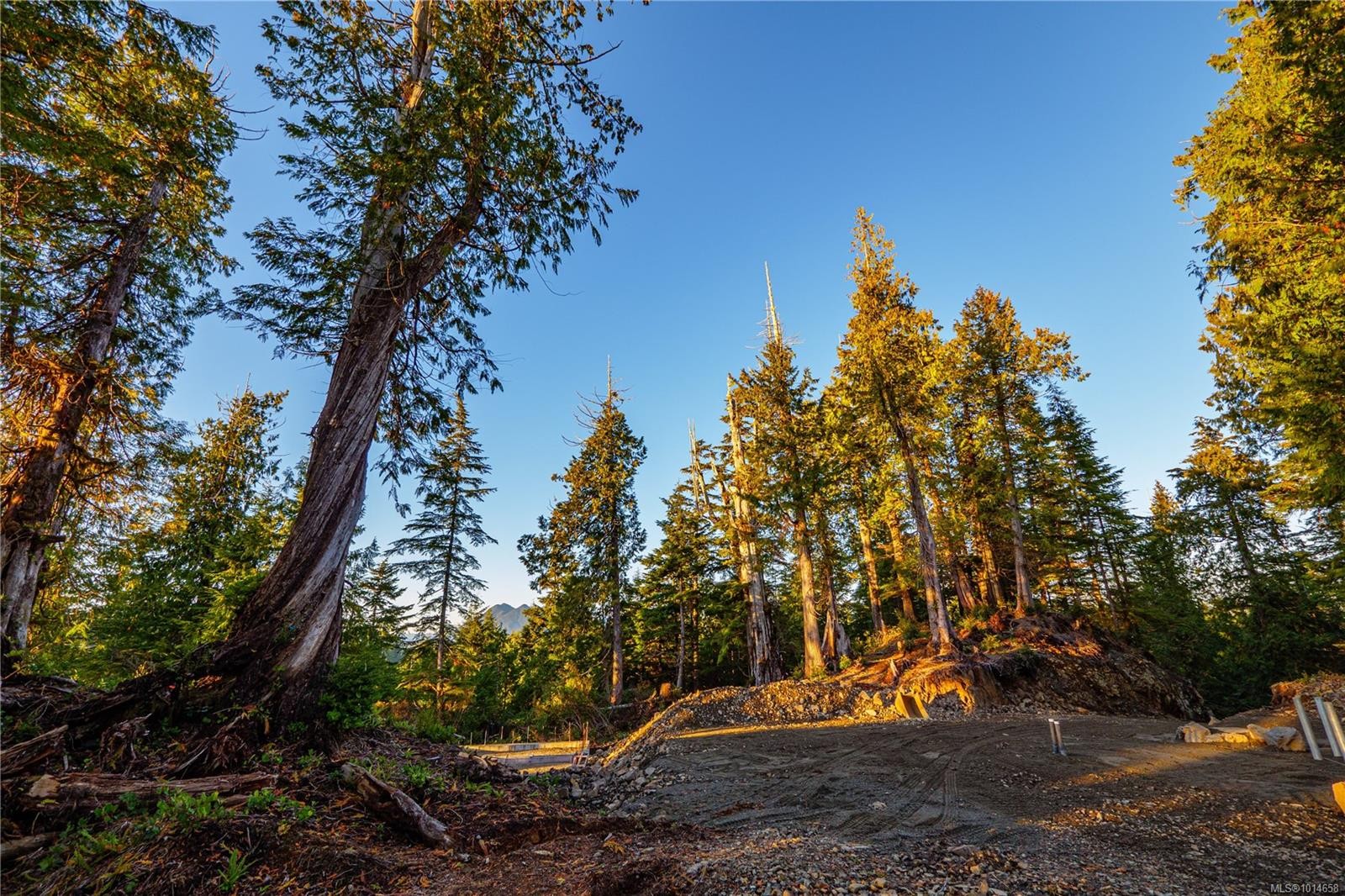 340 Tonquin Park Rd, Tofino, BC