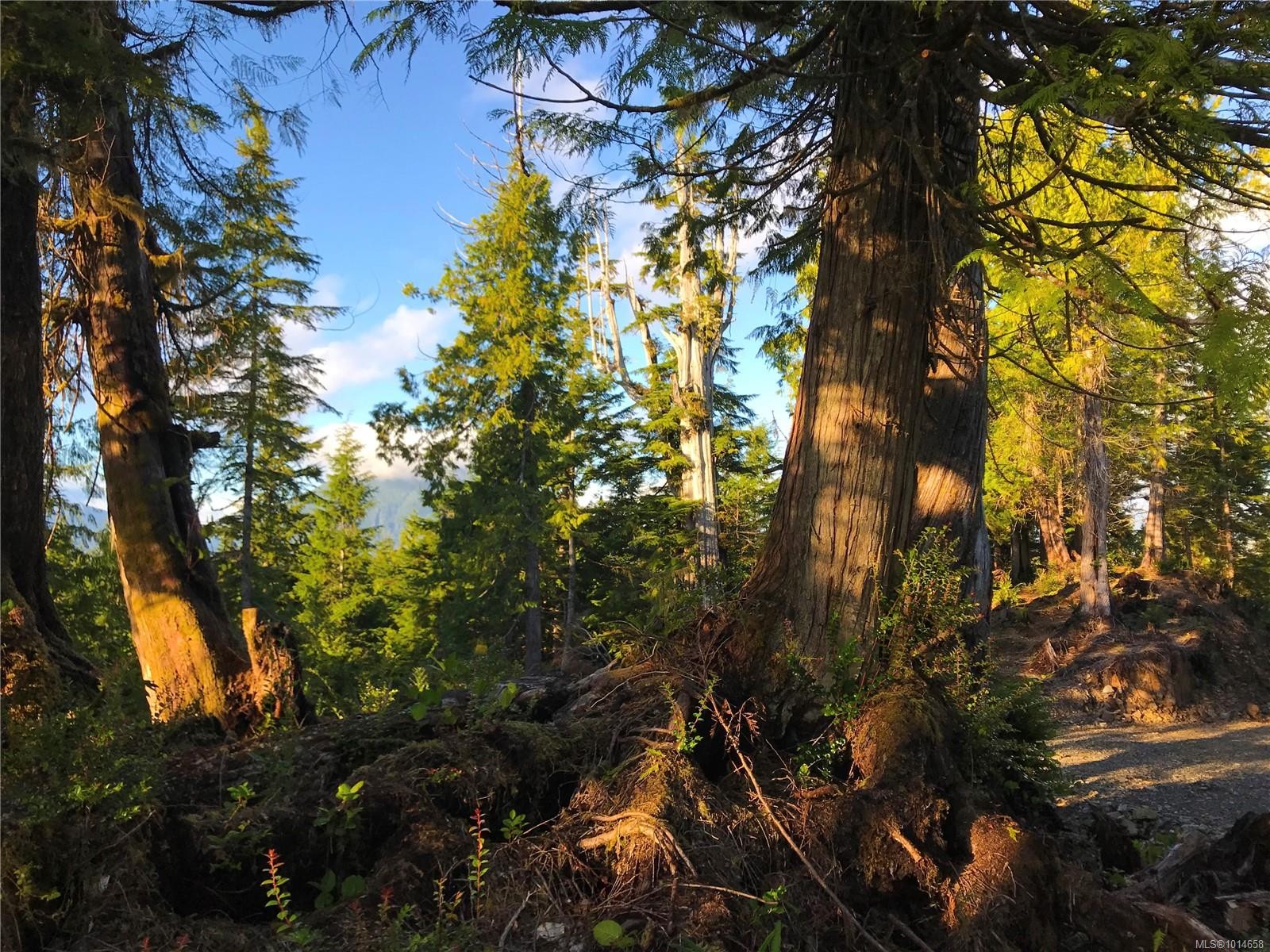 340 Tonquin Park Rd, Tofino, BC