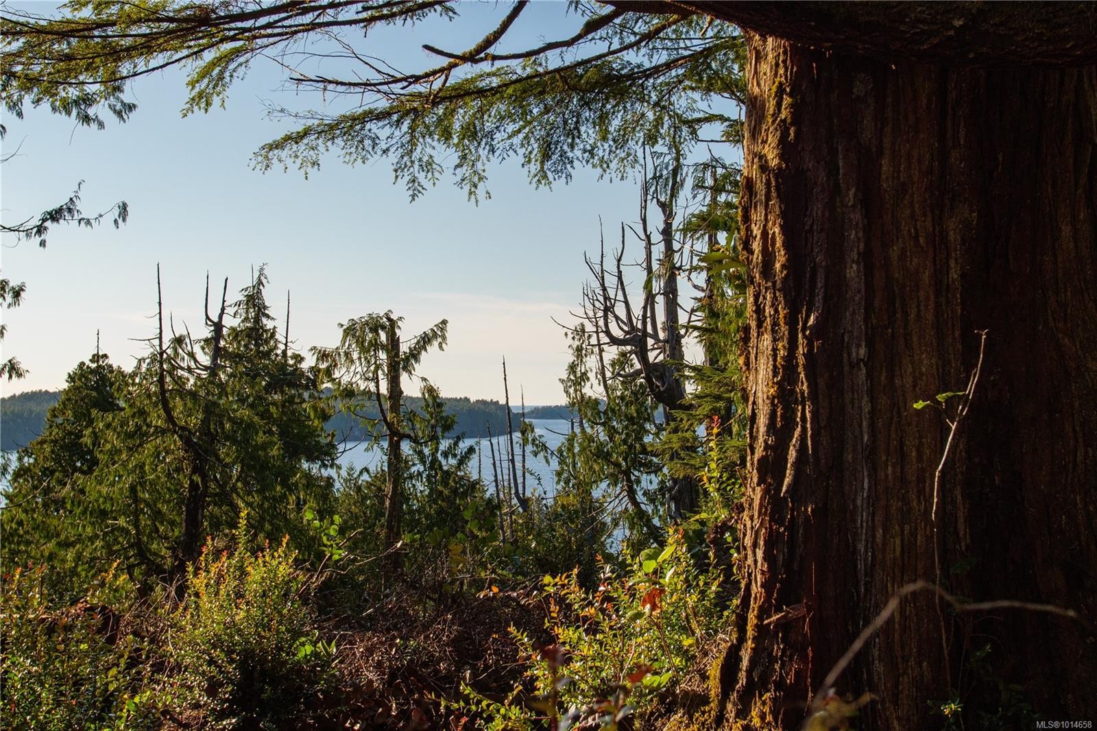 340 Tonquin Park Rd, Tofino, BC