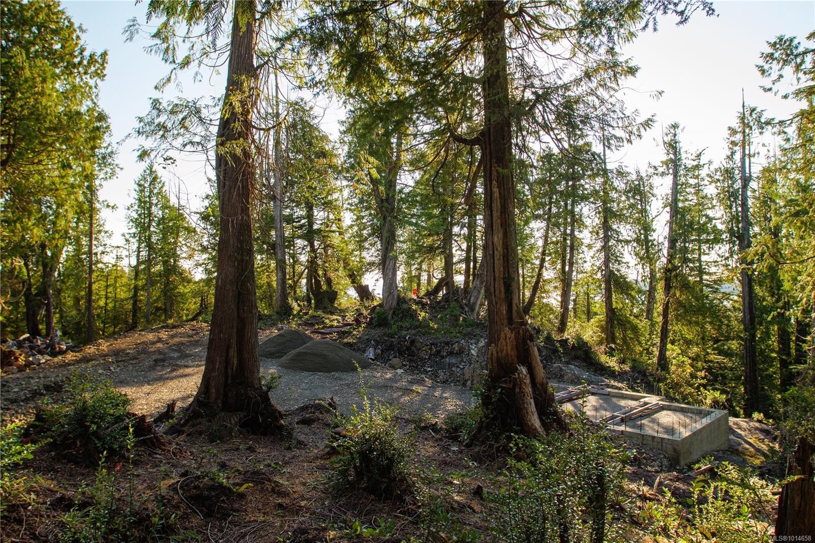 340 Tonquin Park Rd, Tofino, BC