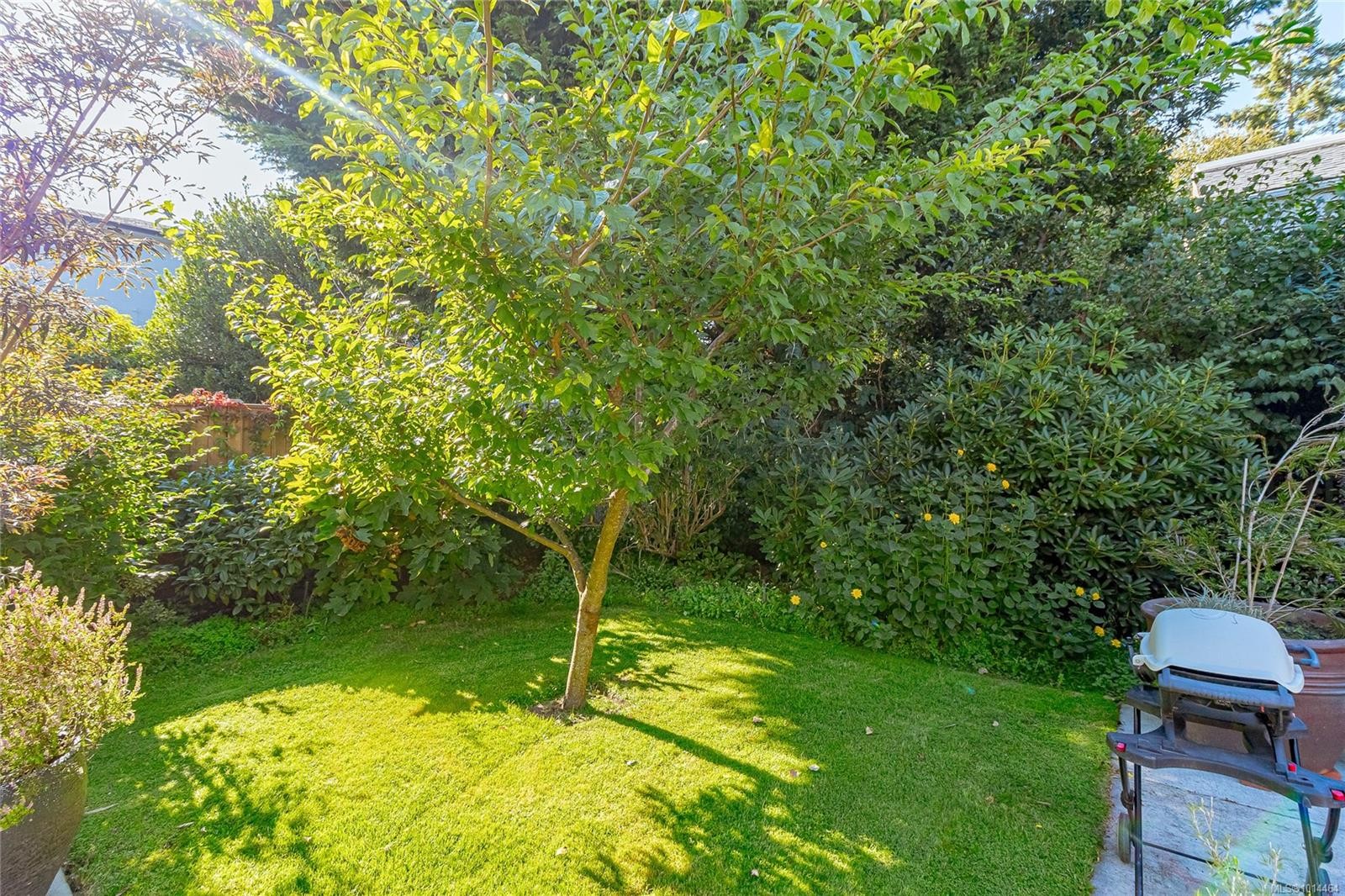 1082 Newport Ave, Oak Bay, BC