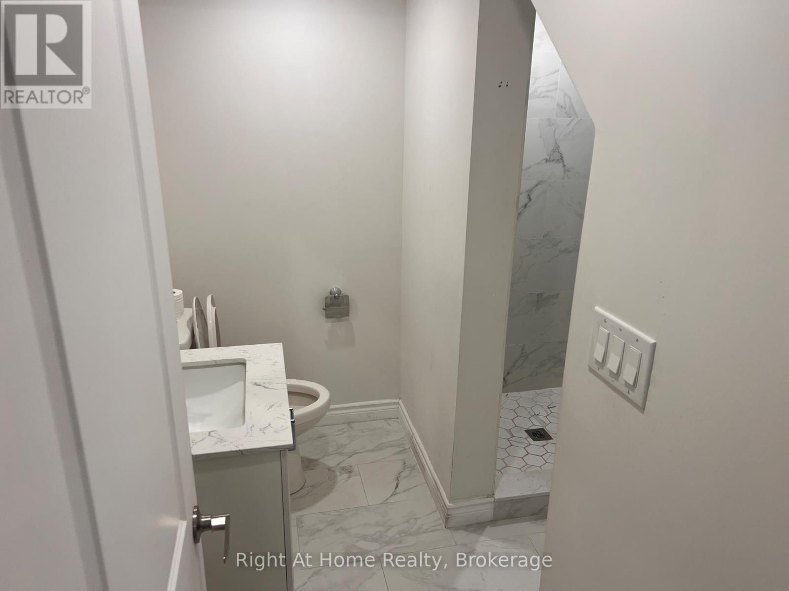 Basement - 87 Hitchman Street, Brant (Paris), ON - Indoor Photo Showing Bathroom