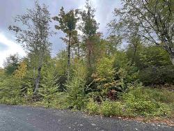 Lot A-7 Russells Cove Road Parkdale, NS B0R 1A0