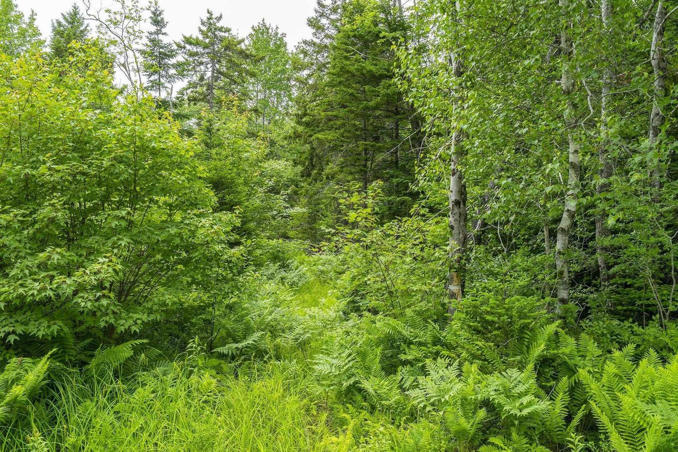 Lot 3 Old Yarmouth Road, Weymouth Falls, NS