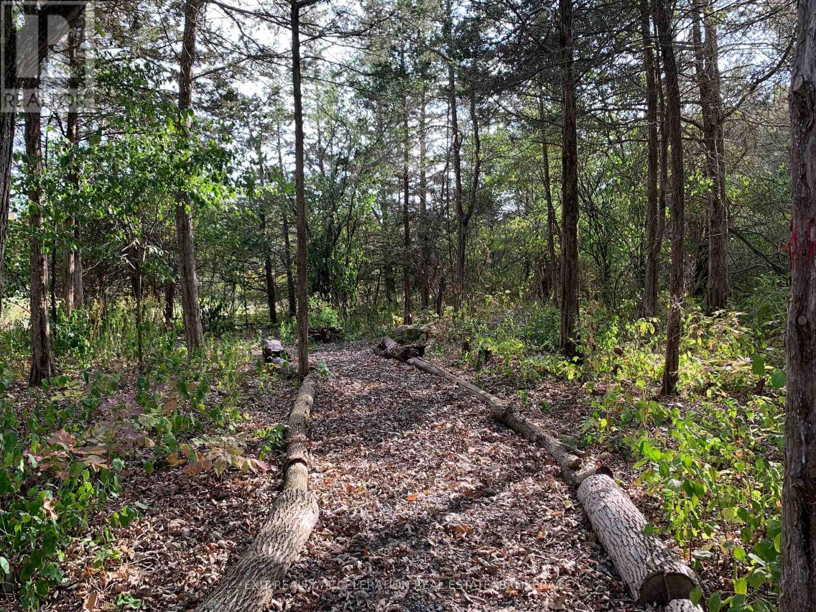 1714 County Rd 9, Greater Napanee (Greater Napanee), ON - Outdoor