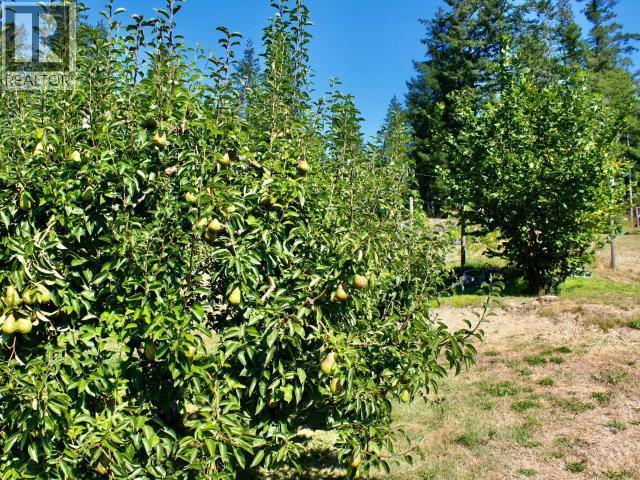 5062 Spragge Road, Texada Island, BC - Outdoor