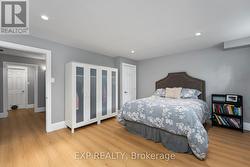 Basement bedroom -