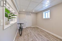 Flex Room With Walkout -