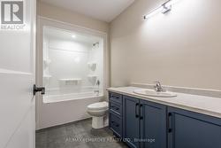 Lower Level Bathroom -