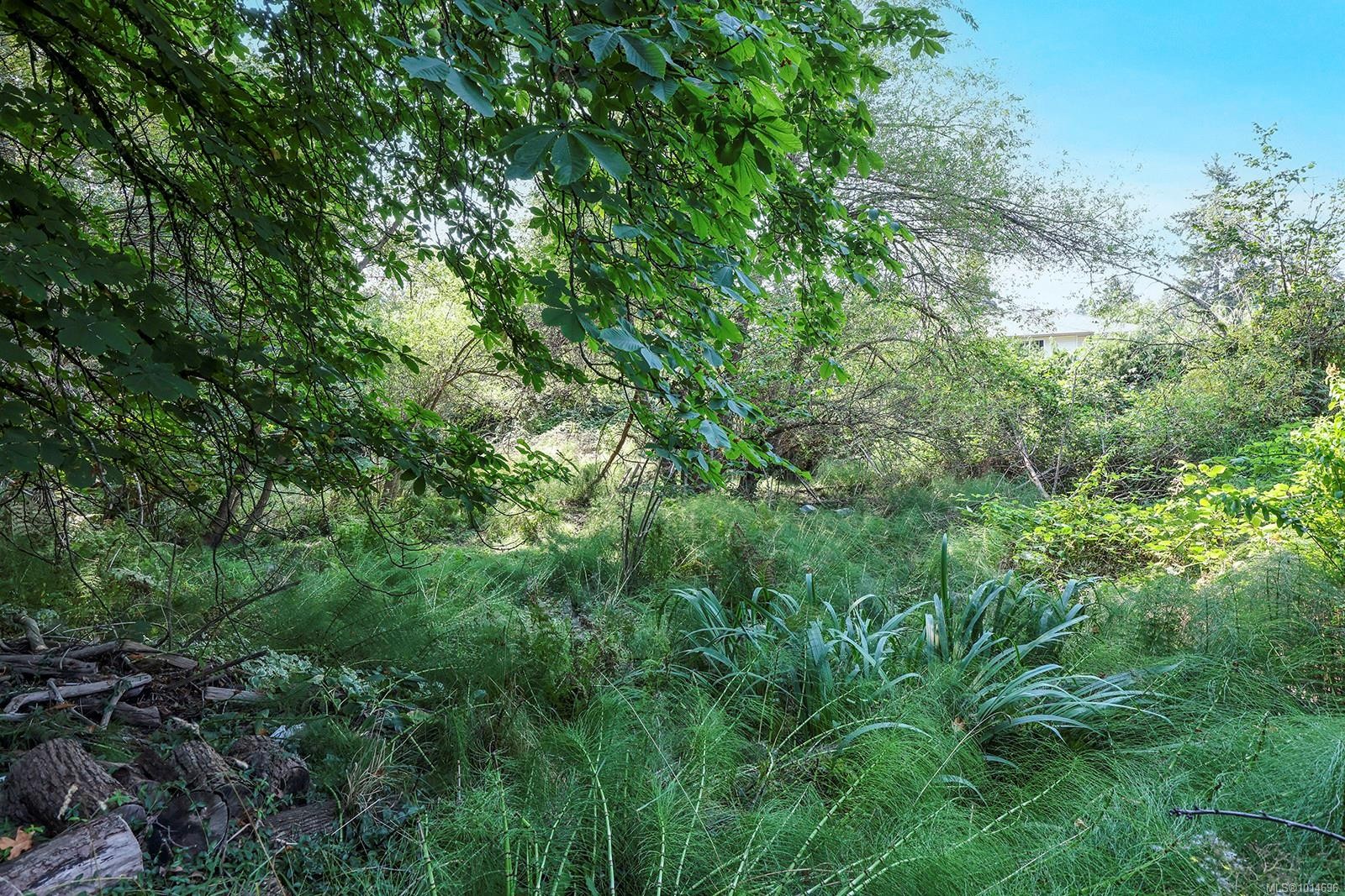 1185 5Th St, Courtenay, BC