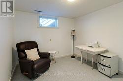 Lower level bedroom -