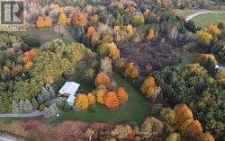 Gorgeous Fall Foliage -