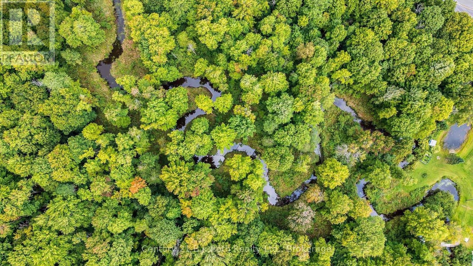 1233 Beiers Rd, Gravenhurst (Morrison), ON