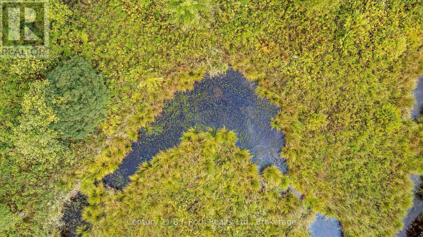 1233 Beiers Rd, Gravenhurst (Morrison), ON