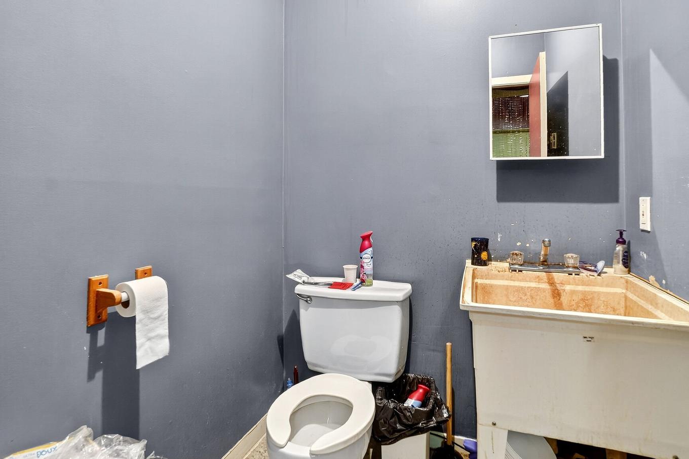 Dwelling - 766 - 768 Boul. De L'Industrie, Saint-Paul, QC - Indoor Photo Showing Bathroom