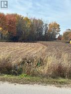 243 ARTHUR STREET North Huron (Wingham), ON N0G 2W0