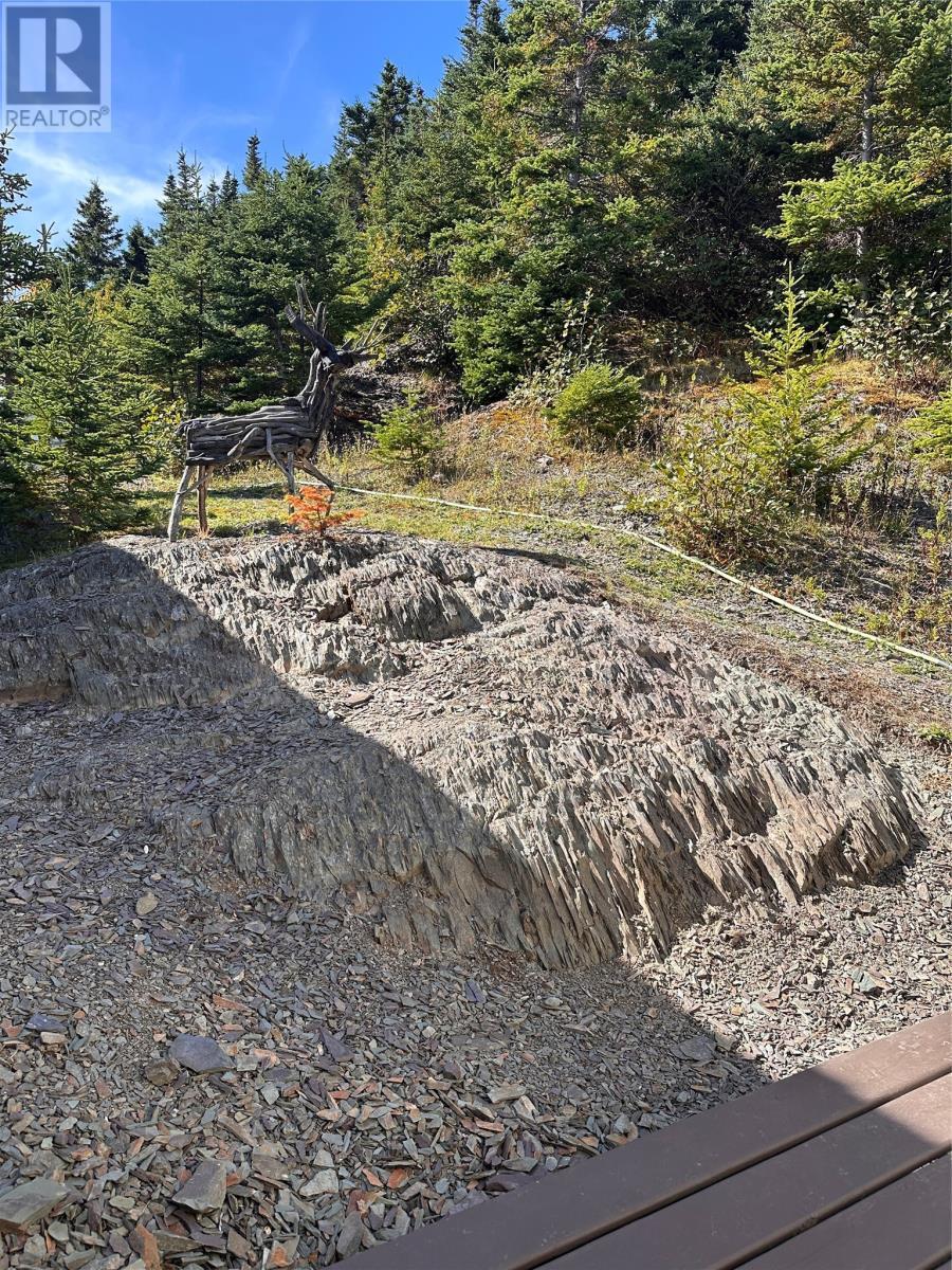 450 Main Road, Big Salmonier, NL - Outdoor With View