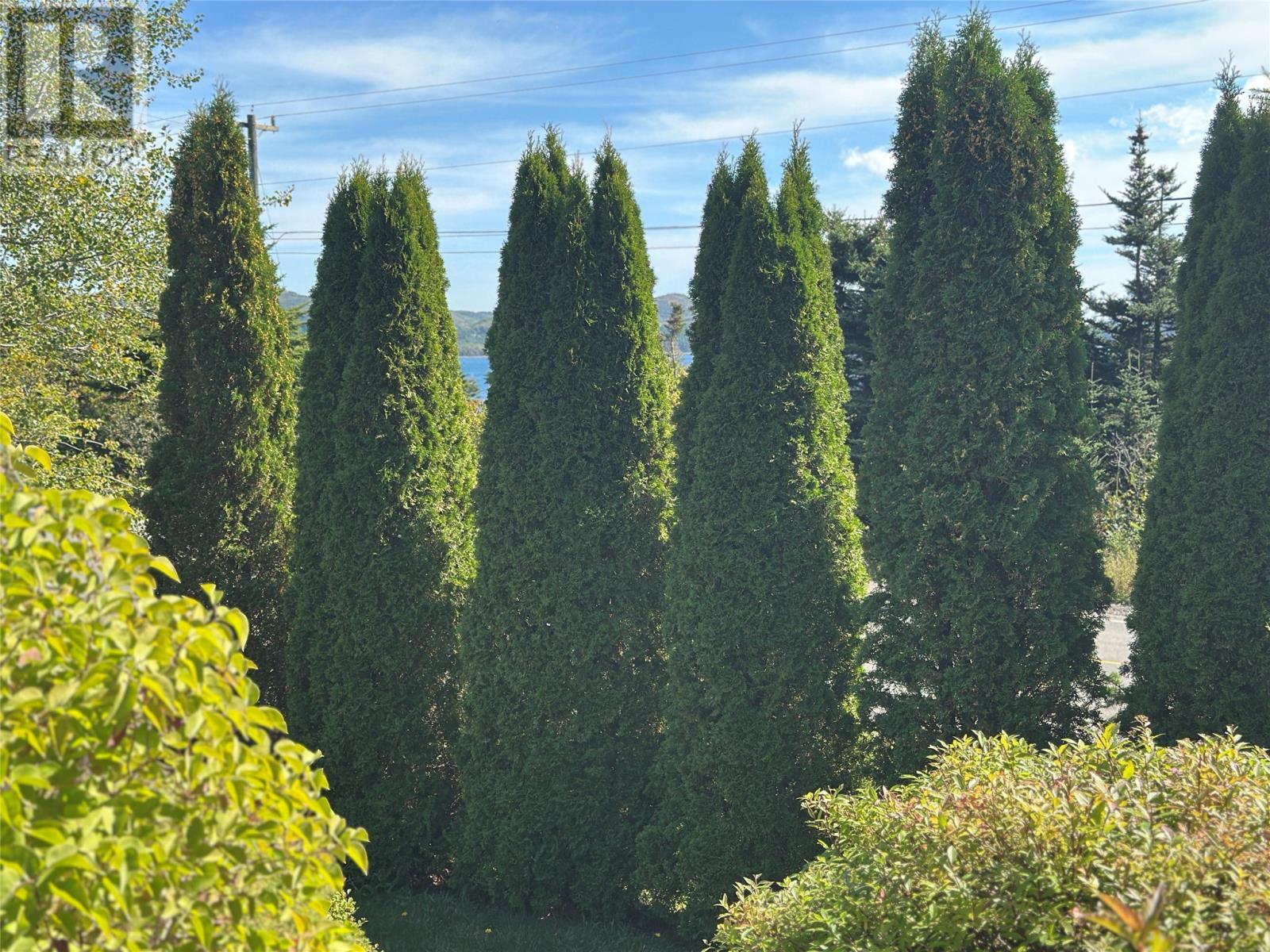 450 Main Road, Big Salmonier, NL - Outdoor With View