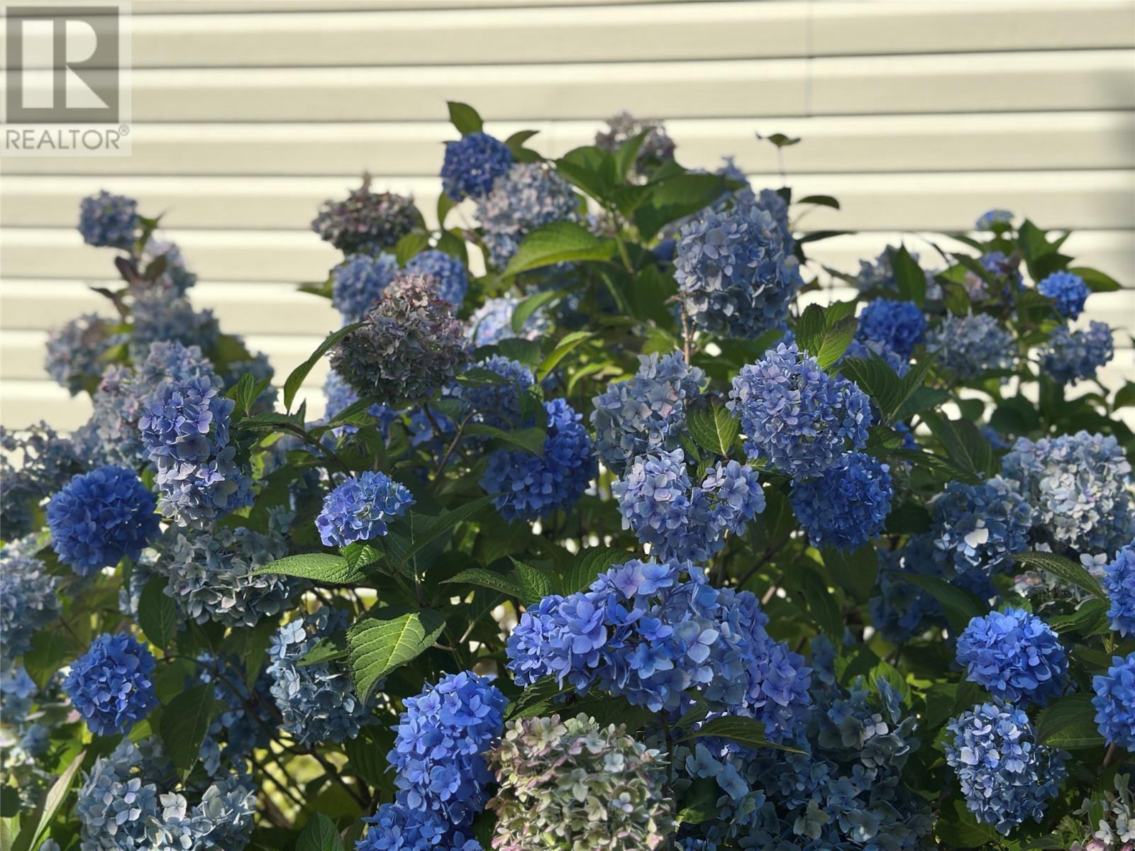 450 Main Road, Big Salmonier, NL - Outdoor