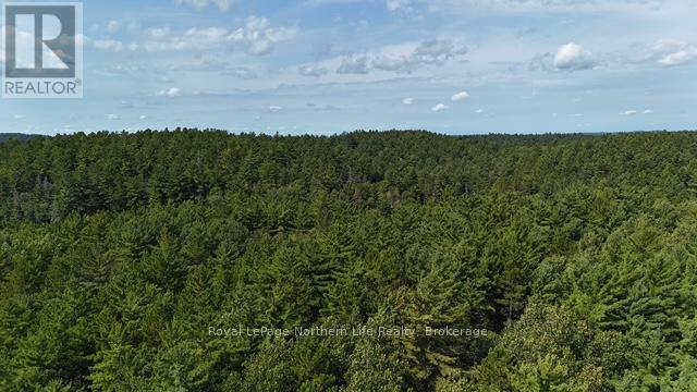 Lot 8 Fox Run Drive, Temagami, ON