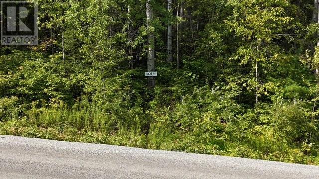 Lot 11 Fox Run Drive, Temagami, ON