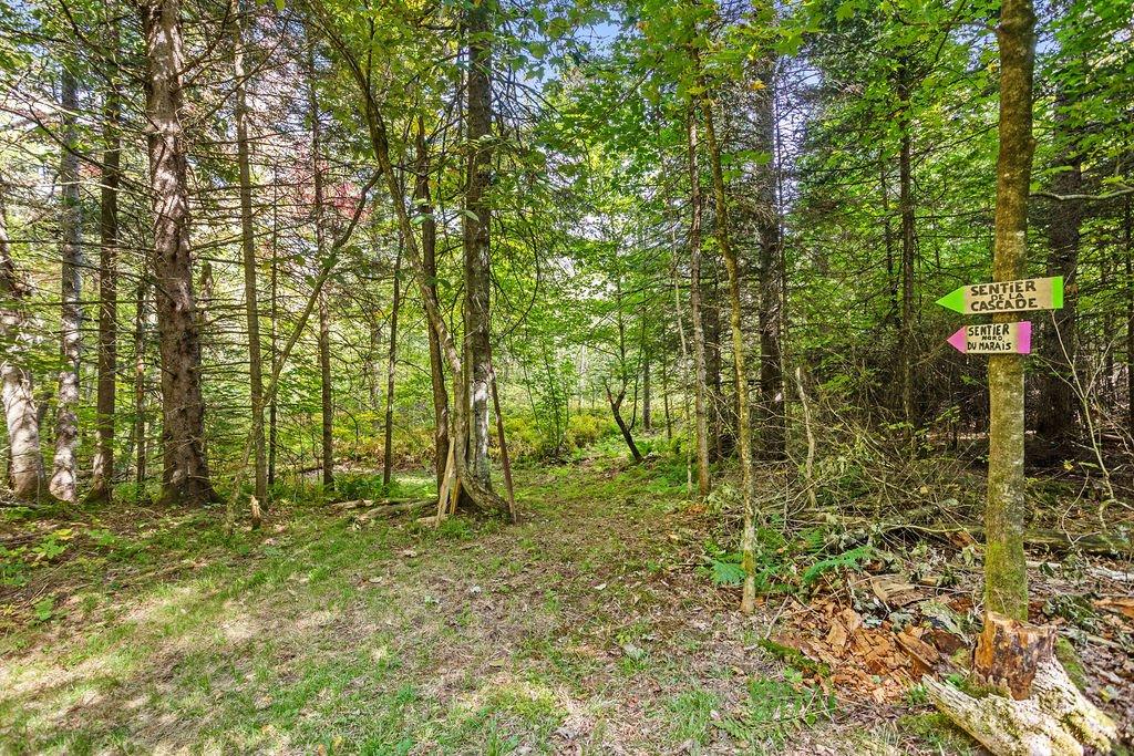 Wooded area - 37 Ch. Stephenson, Gore, QC - Outdoor