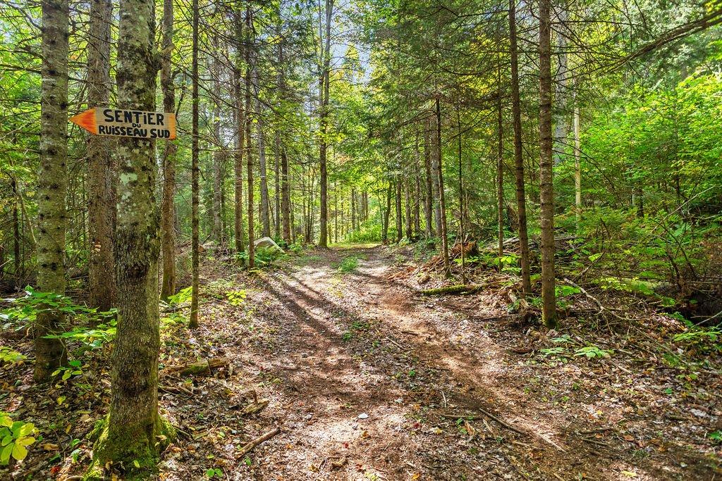 Wooded area - 37 Ch. Stephenson, Gore, QC - Outdoor