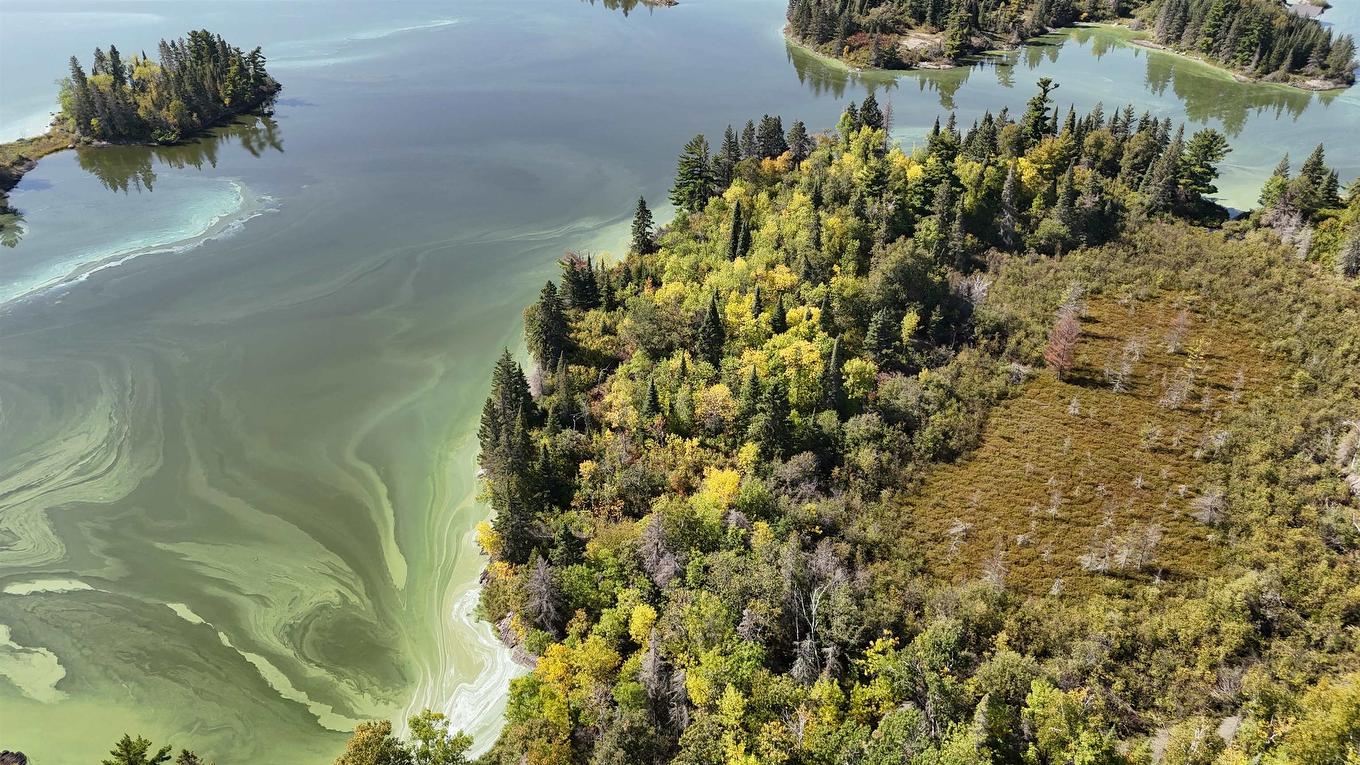 Pts 2,7,8 Dorion Island Lake Of The Woods, Unorganized, ON