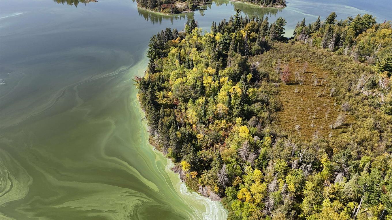 Pts 2,7,8 Dorion Island Lake Of The Woods, Unorganized, ON