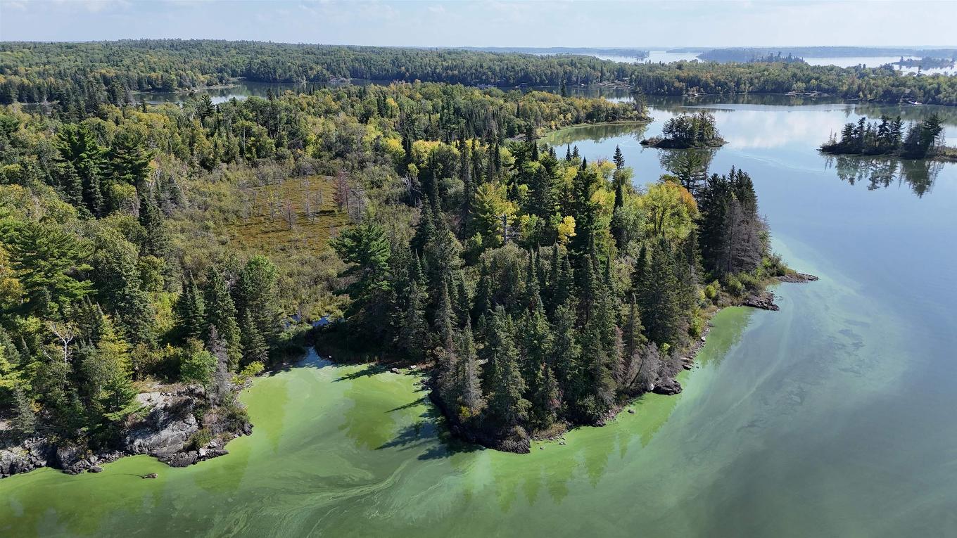 Pts 2,7,8 Dorion Island Lake Of The Woods, Unorganized, ON