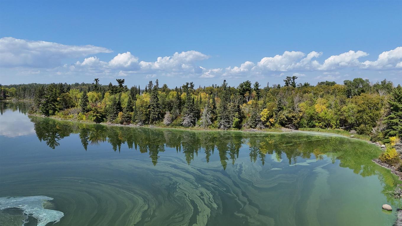 Pts 2,7,8 Dorion Island Lake Of The Woods, Unorganized, ON