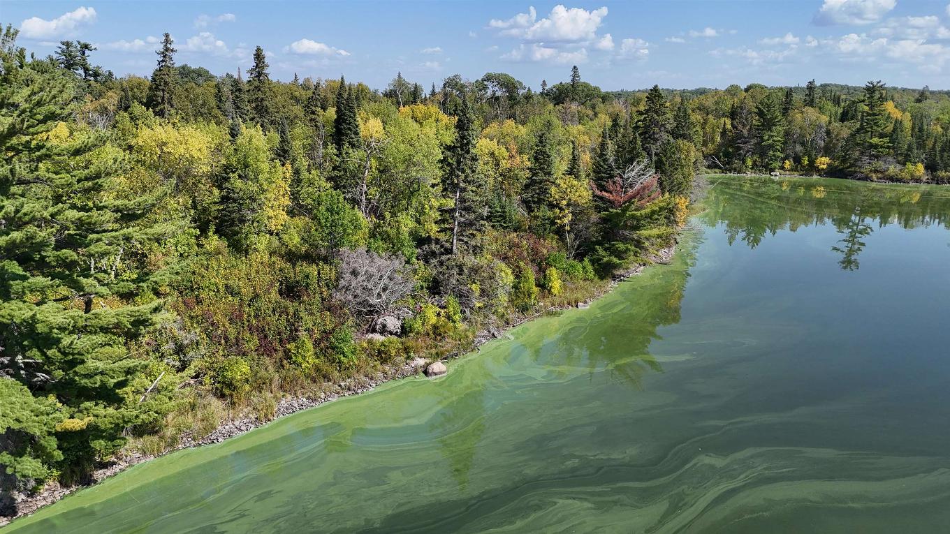 Pts 2,7,8 Dorion Island Lake Of The Woods, Unorganized, ON