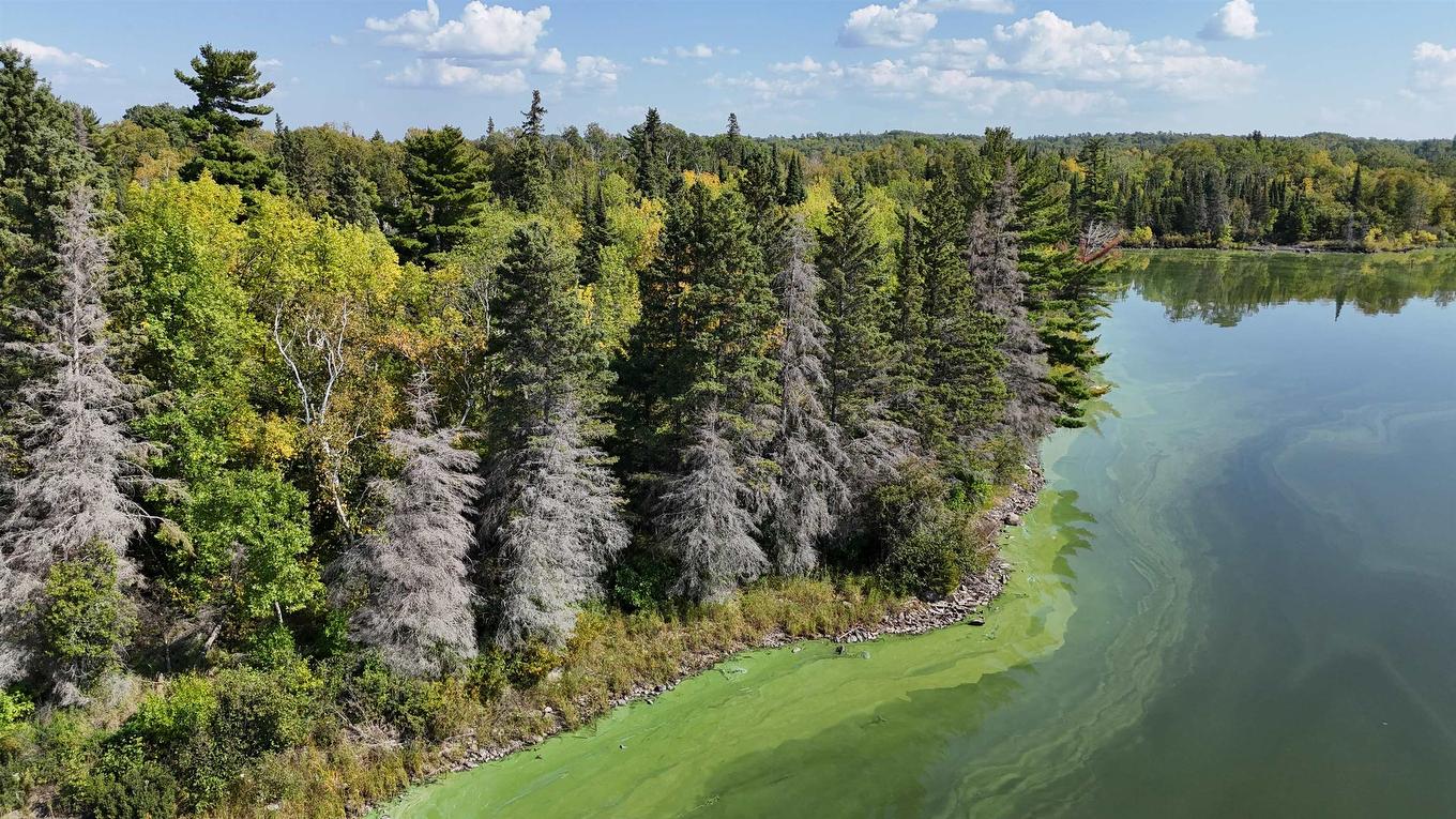 Pts 2,7,8 Dorion Island Lake Of The Woods, Unorganized, ON