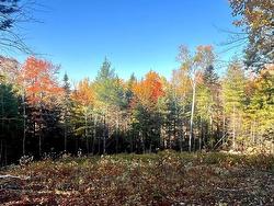 Lot 109 Blue Jay Way Vaughan, NS B0N 2T0