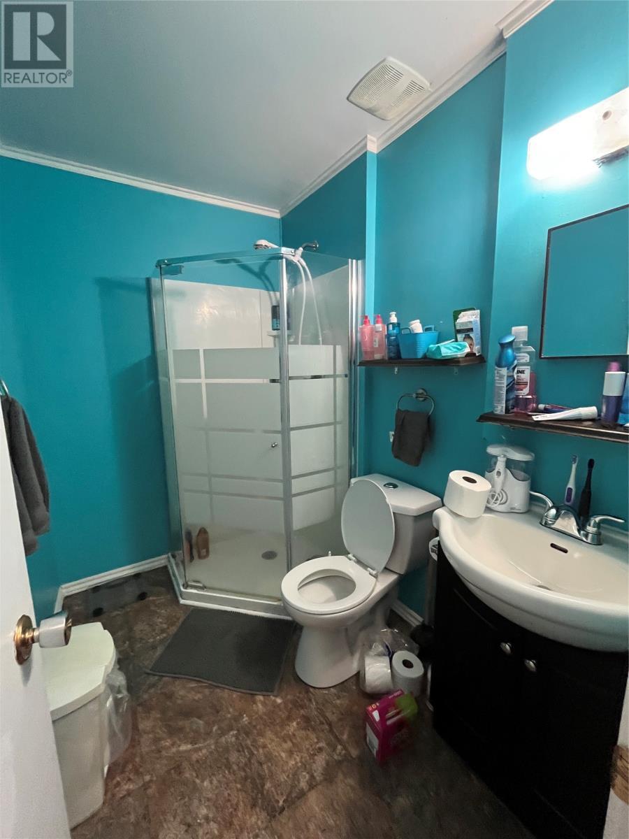 12 Atlantic Avenue, Corner Brook, NL - Indoor Photo Showing Bathroom