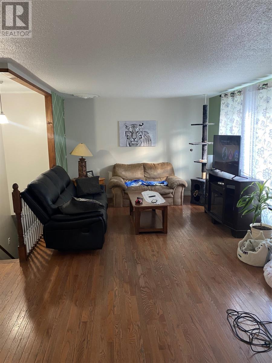 12 Atlantic Avenue, Corner Brook, NL - Indoor Photo Showing Living Room