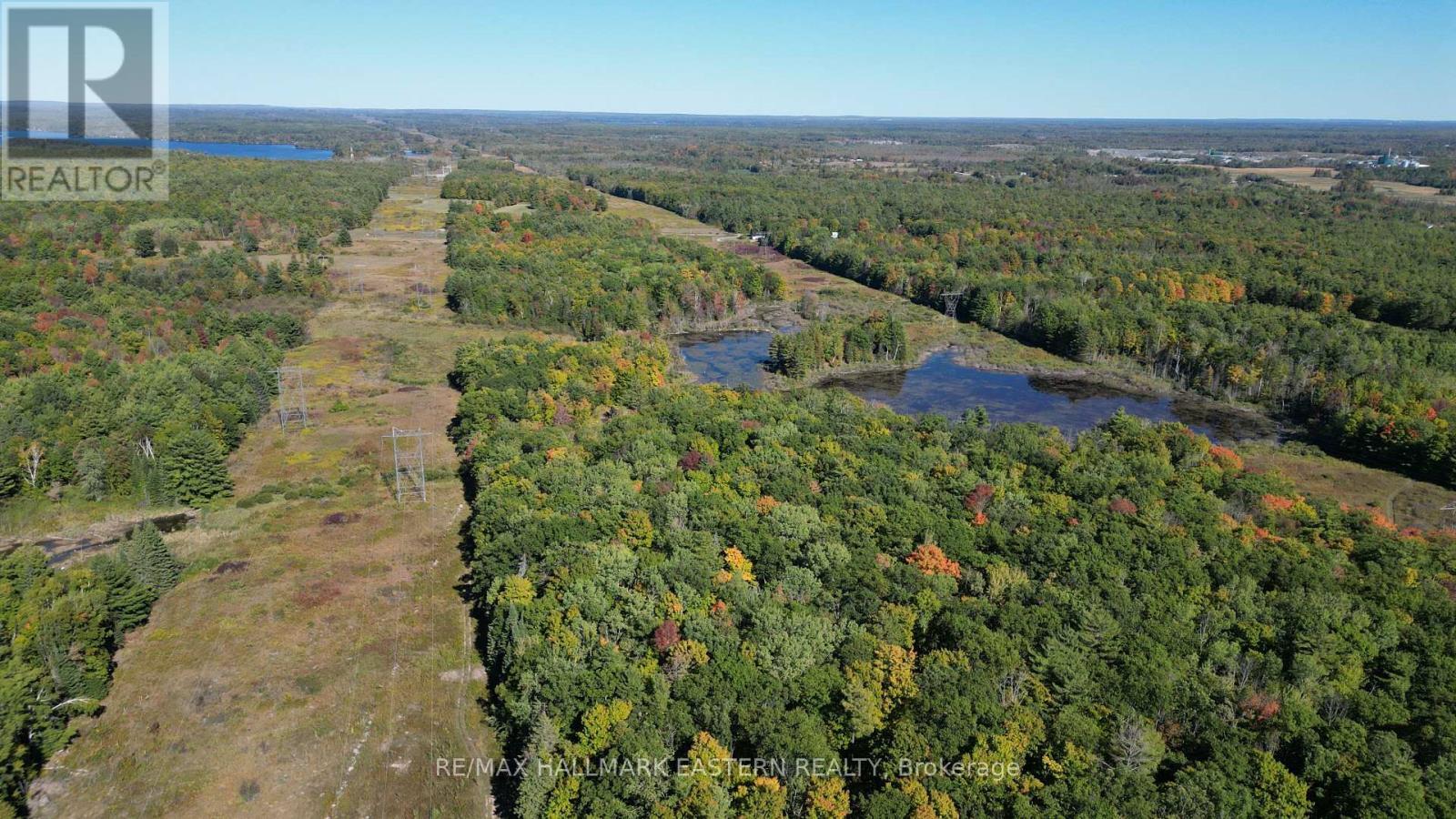 Near back of property looking toward road - 1092 Mid Belmont 7Th Line, Havelock-Belmont-Methuen (Belmont-Methuen), ON - Outdoor With View