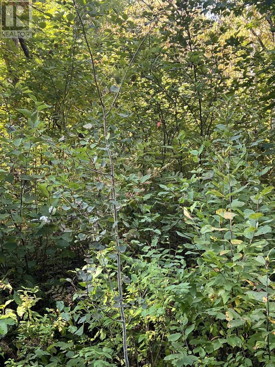 Lot 1 Glen St, Iron Bridge, ON