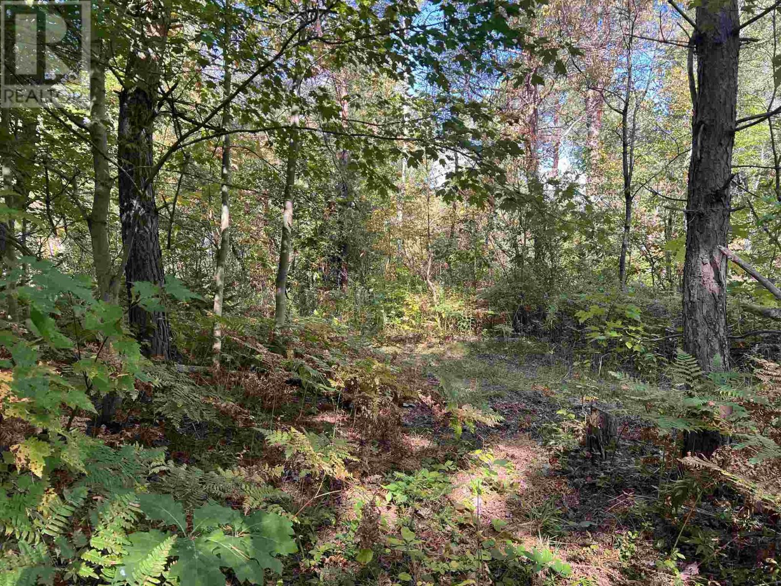 Lot 1 Glen St, Iron Bridge, ON