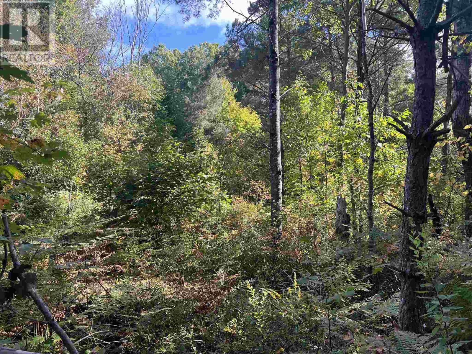 Lot 1 Glen St, Iron Bridge, ON