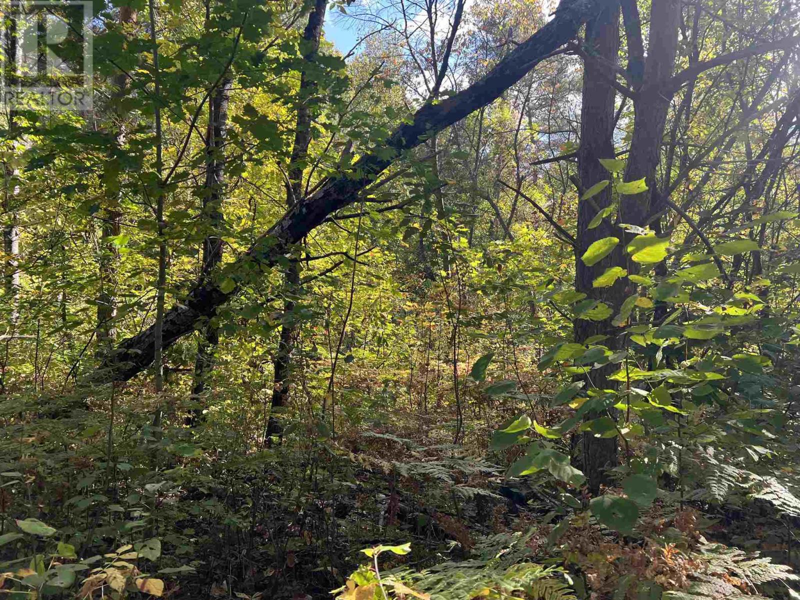 Lot 2 Glen St, Iron Bridge, ON