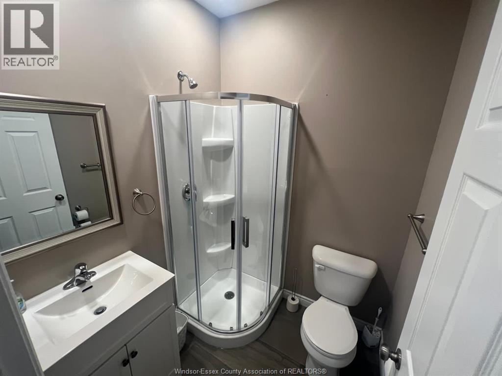 969 Moy Avenue, Windsor, ON - Indoor Photo Showing Bathroom