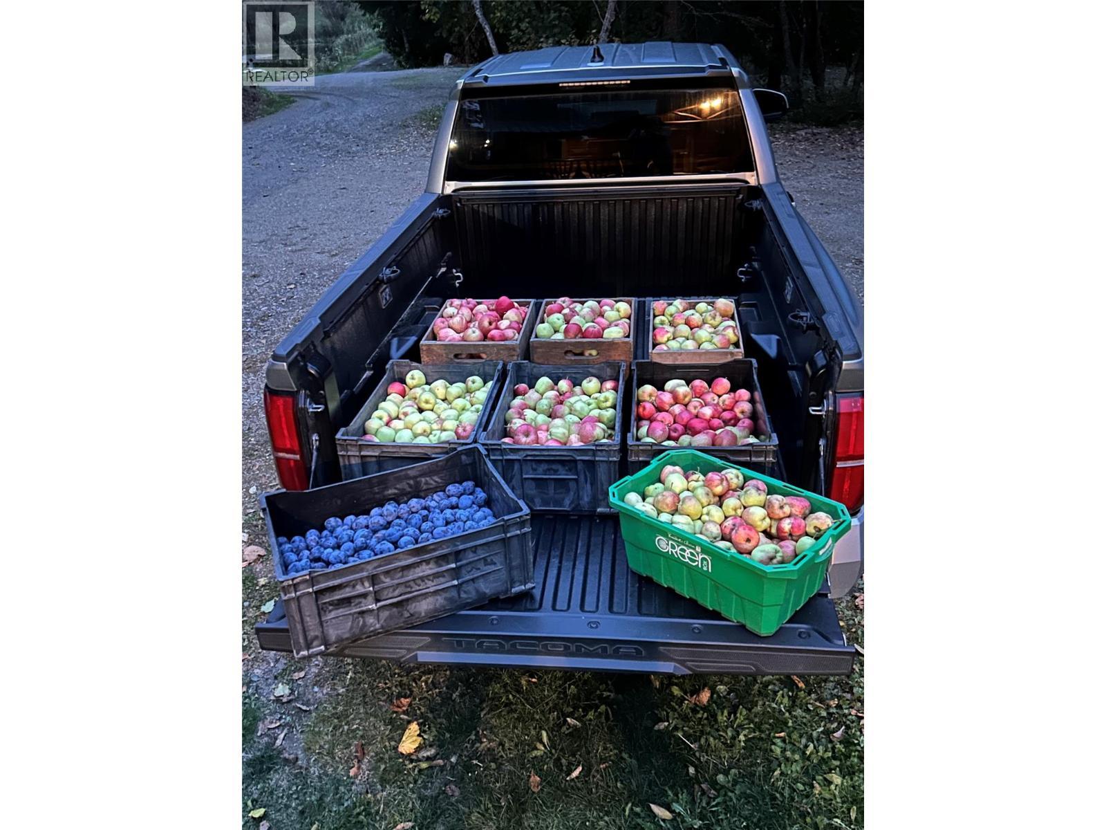 4878 Leopold Road, Celista, BC - Outdoor